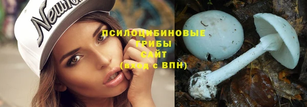 крисы Володарск
