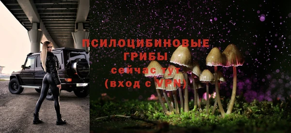 крисы Володарск