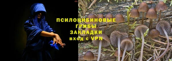 крисы Володарск