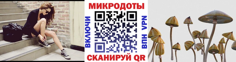 Псилоцибиновые грибы ЛСД сайты даркнета Telegram Выборг mega зеркало